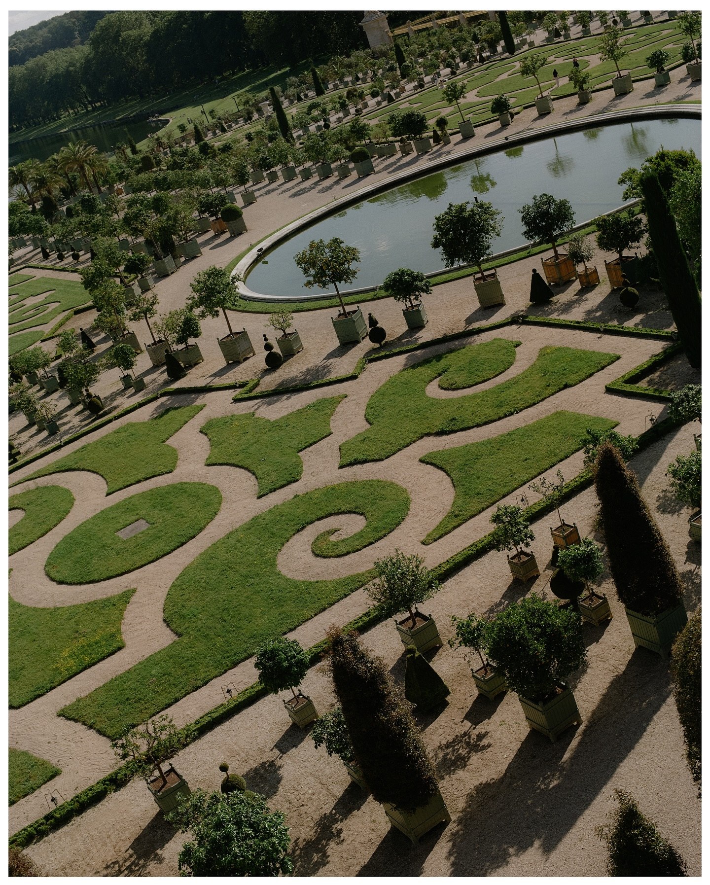 Formal garden with clipped parterres and a still oval pool seen from above
