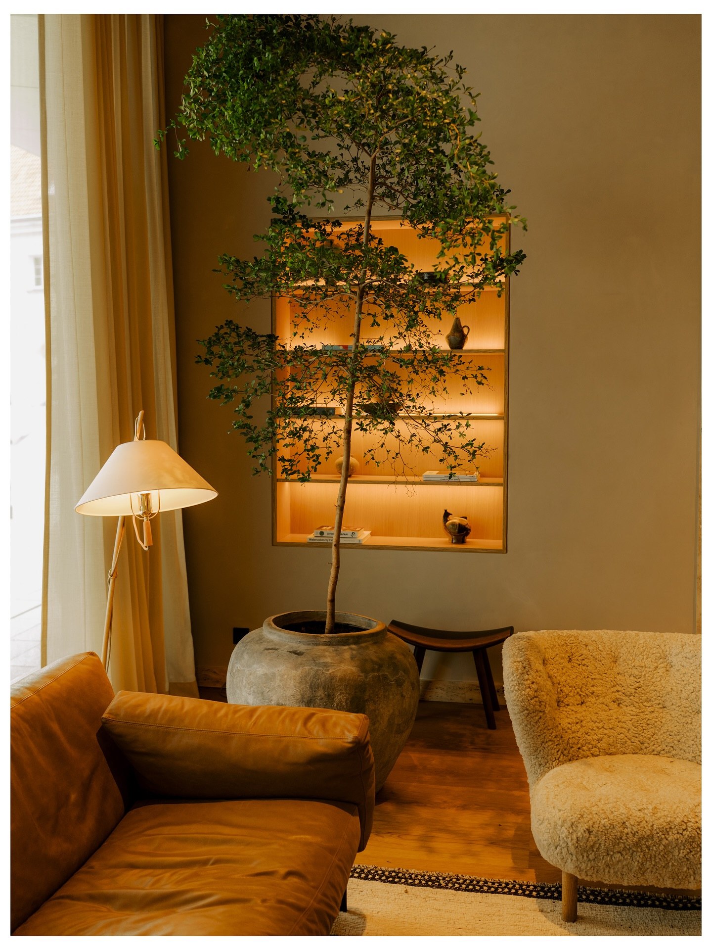 A slender tree in a stone pot beside a lit niche of books and ceramics